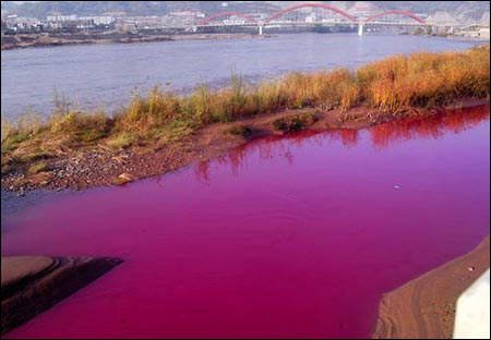 polluted river