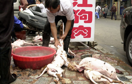 Dog meat hot pot