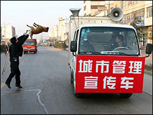 killing dog for health