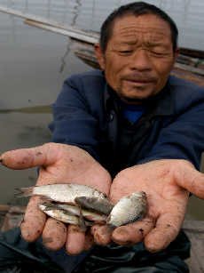 polluted victim